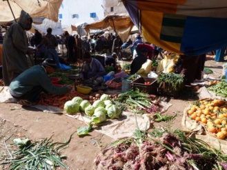 Journée sur le marché typique & forêt d’arganiers